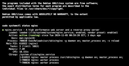 A screenshot showing Nginx server configuration steps and optimization settings.