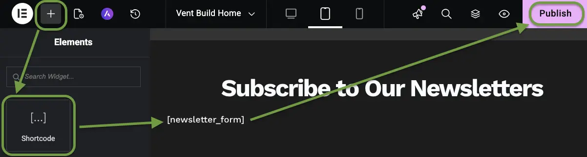Newsletter Plugin form added via Elementor widget