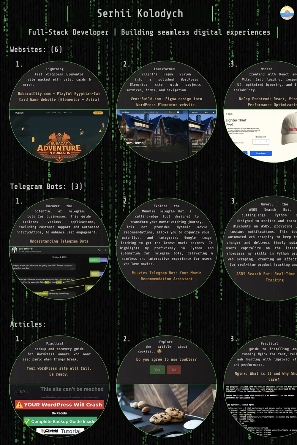 Serhii Kolodych - Full Stack Developer | WordPress & Python